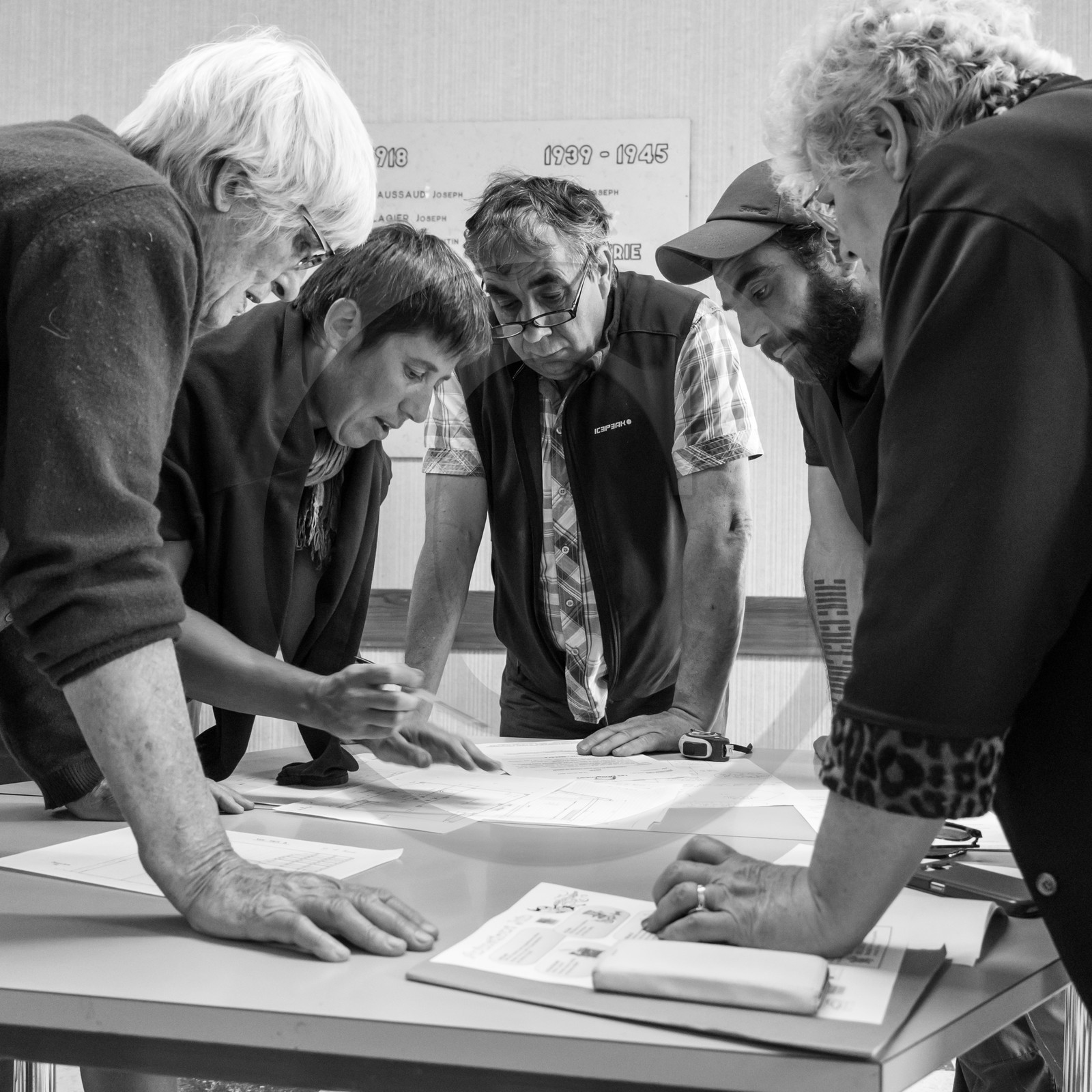 07 juin 2017 - Plantation - Haie - Réunion