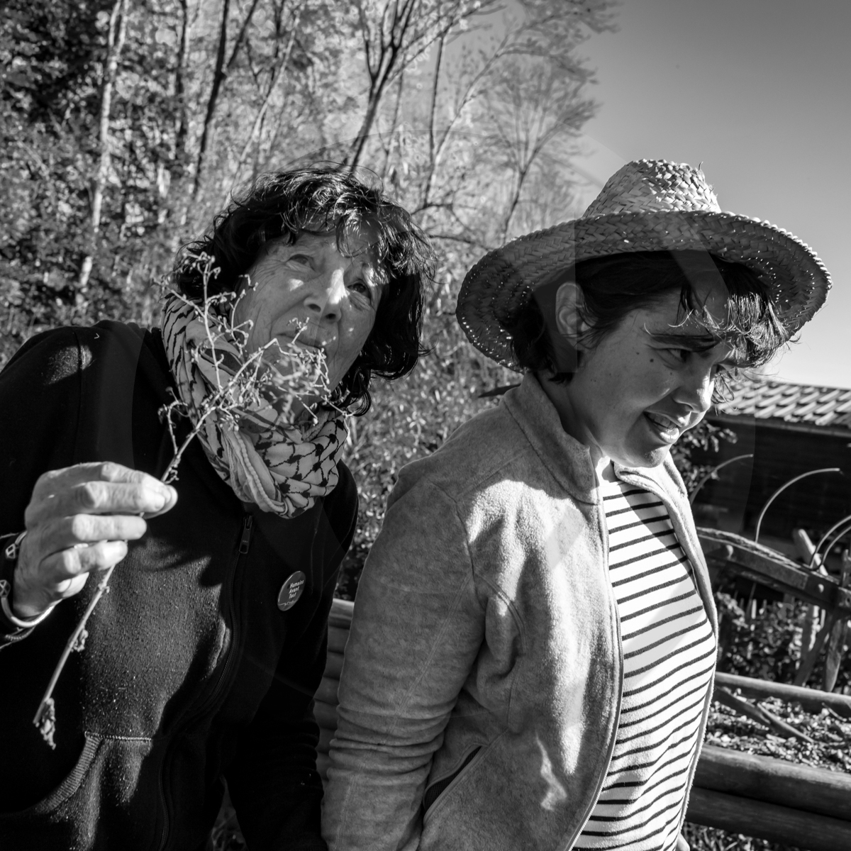 26 octobre 2022 : dernier mercredi de la saison à l'Ouort 26 octobre 2022 : dernier mercredi de la saison à l'Ouort