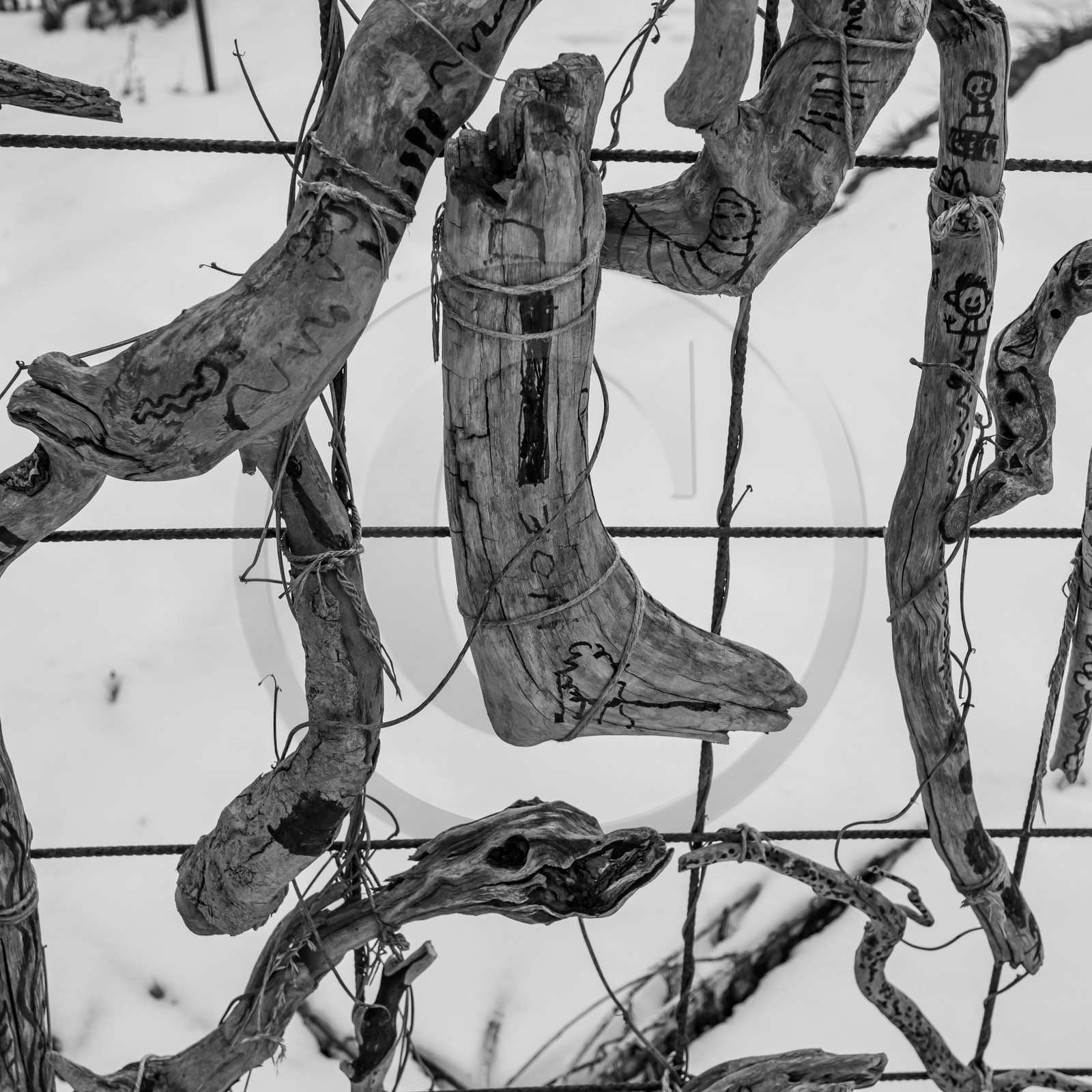 21 janvier 2021 : l'Ouort sous la neige