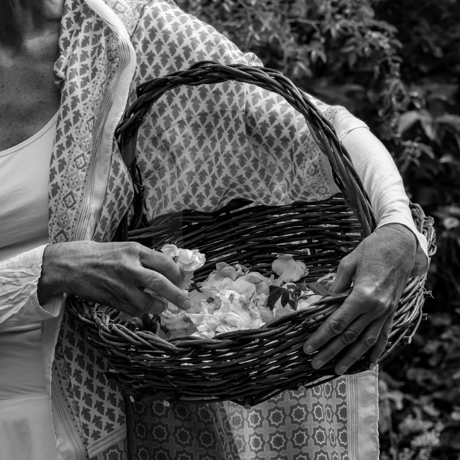 14 juillet 2021 : Lumema danse 14 juillet 2021 : Lumema danse