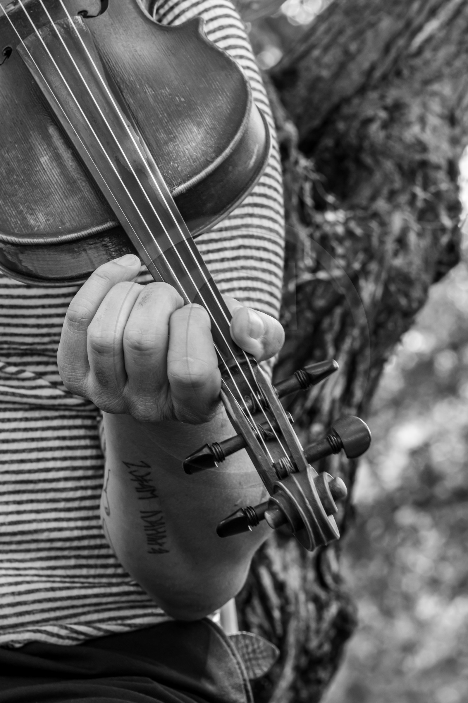 26 juin 2024 : Sieste Musicale avec Balthazar