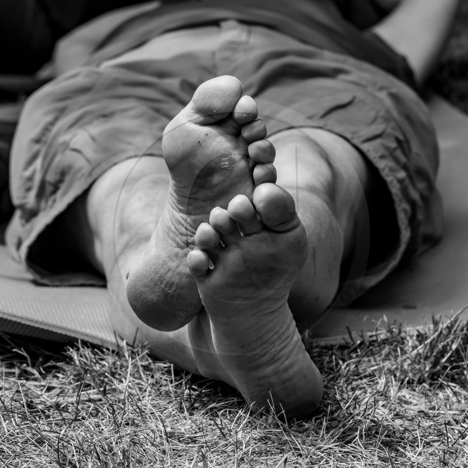 21 juillet 2021 : Sieste musicale avec Matthieu Duval 21 juillet 2021 : Sieste musicale avec Matthieu Duval