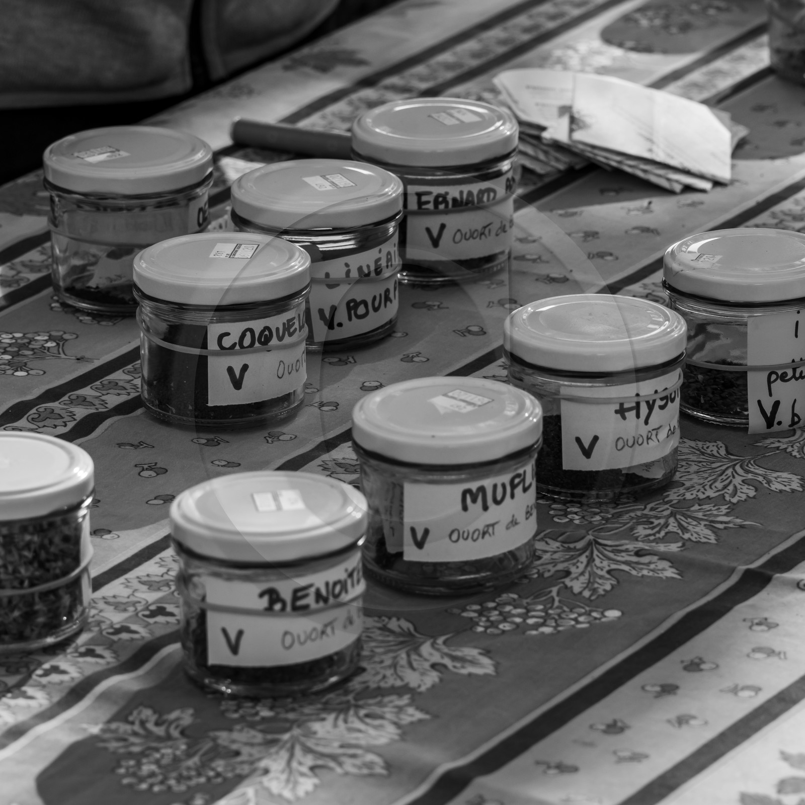 24 octobre 2021 : Fais ta soupe et ramène ta pomme