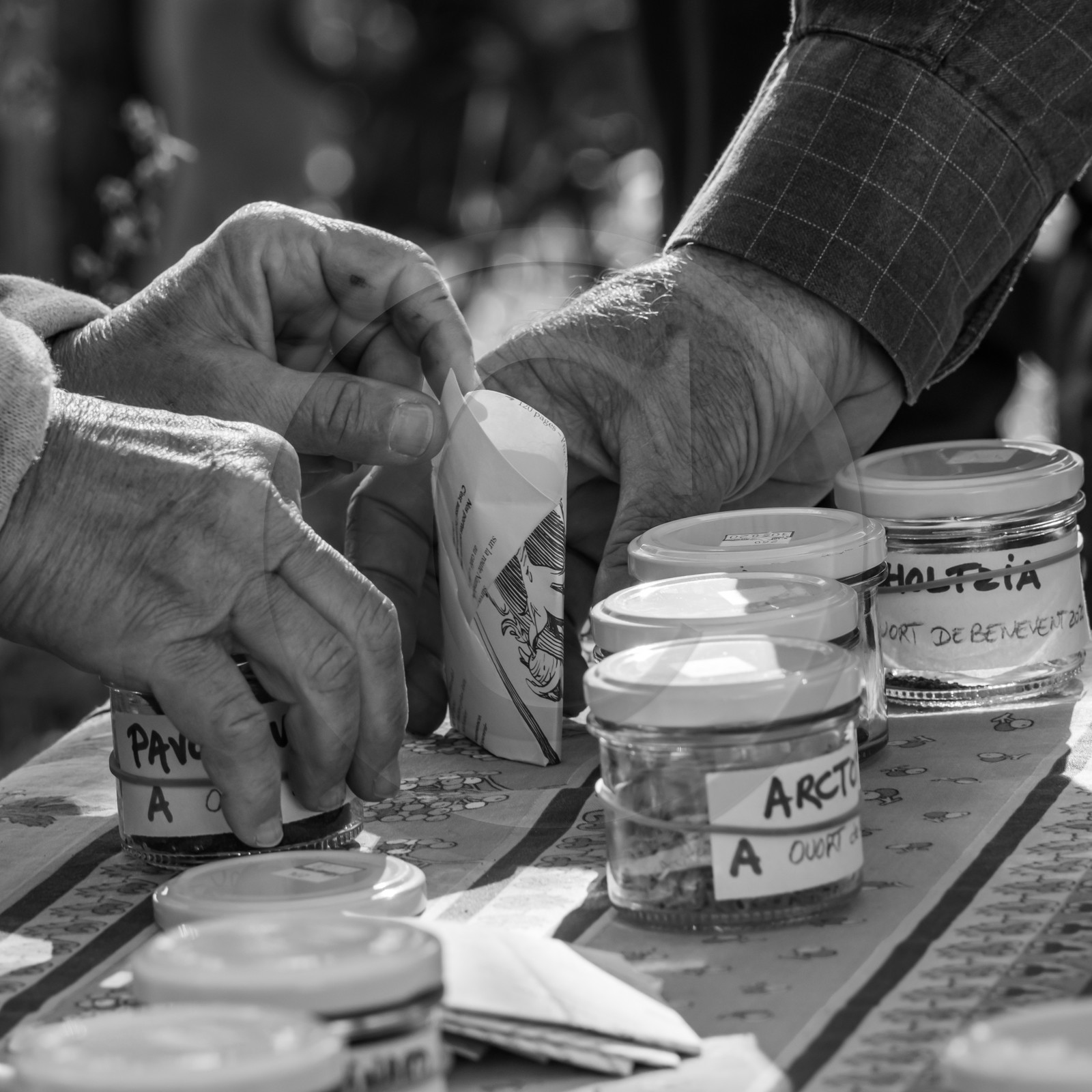 24 octobre 2021 : Fais ta soupe et ramène ta pomme