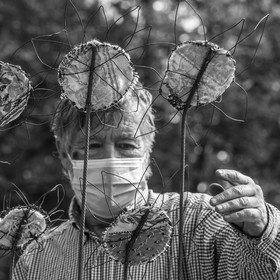 Fabrication de tournesols