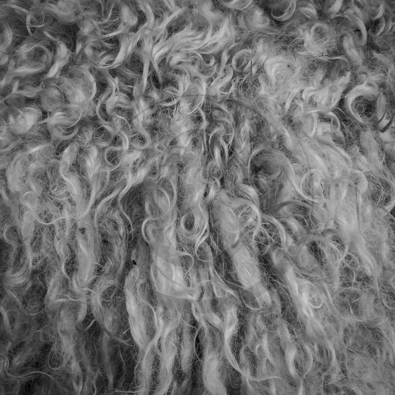 Le mohair arc en ciel