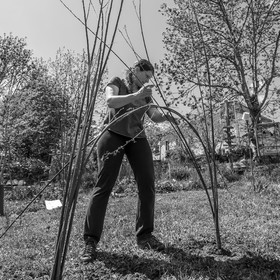 30 avril 2025 : Un oiseau en osier