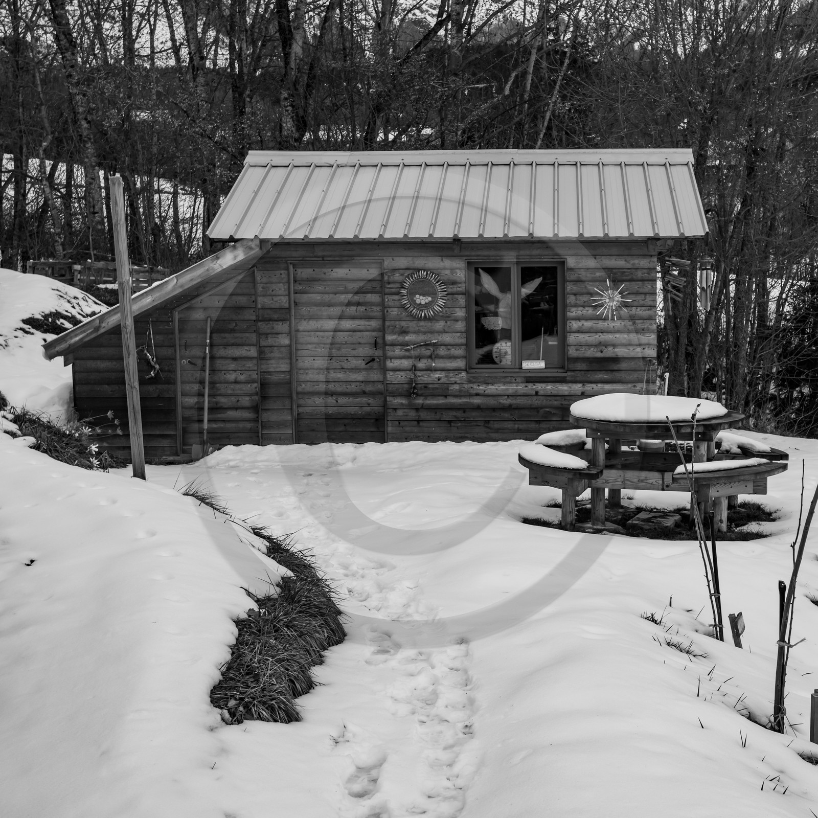21 janvier 2021 : l'Ouort sous la neige