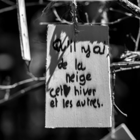 L'écho des mots