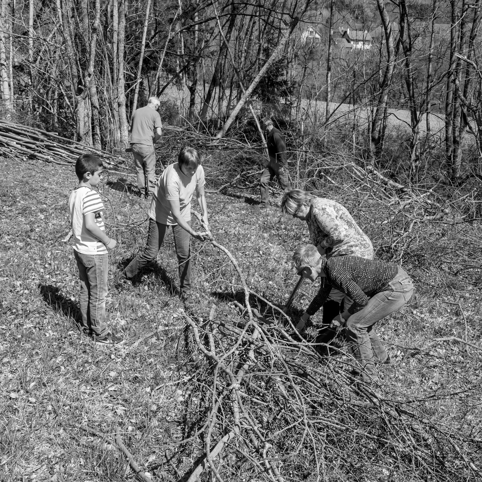 Nettoyage du terrain - Coupe du bois - 29 03 17