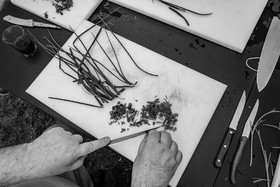 05 juillet 2023 : une cantine et des artistes