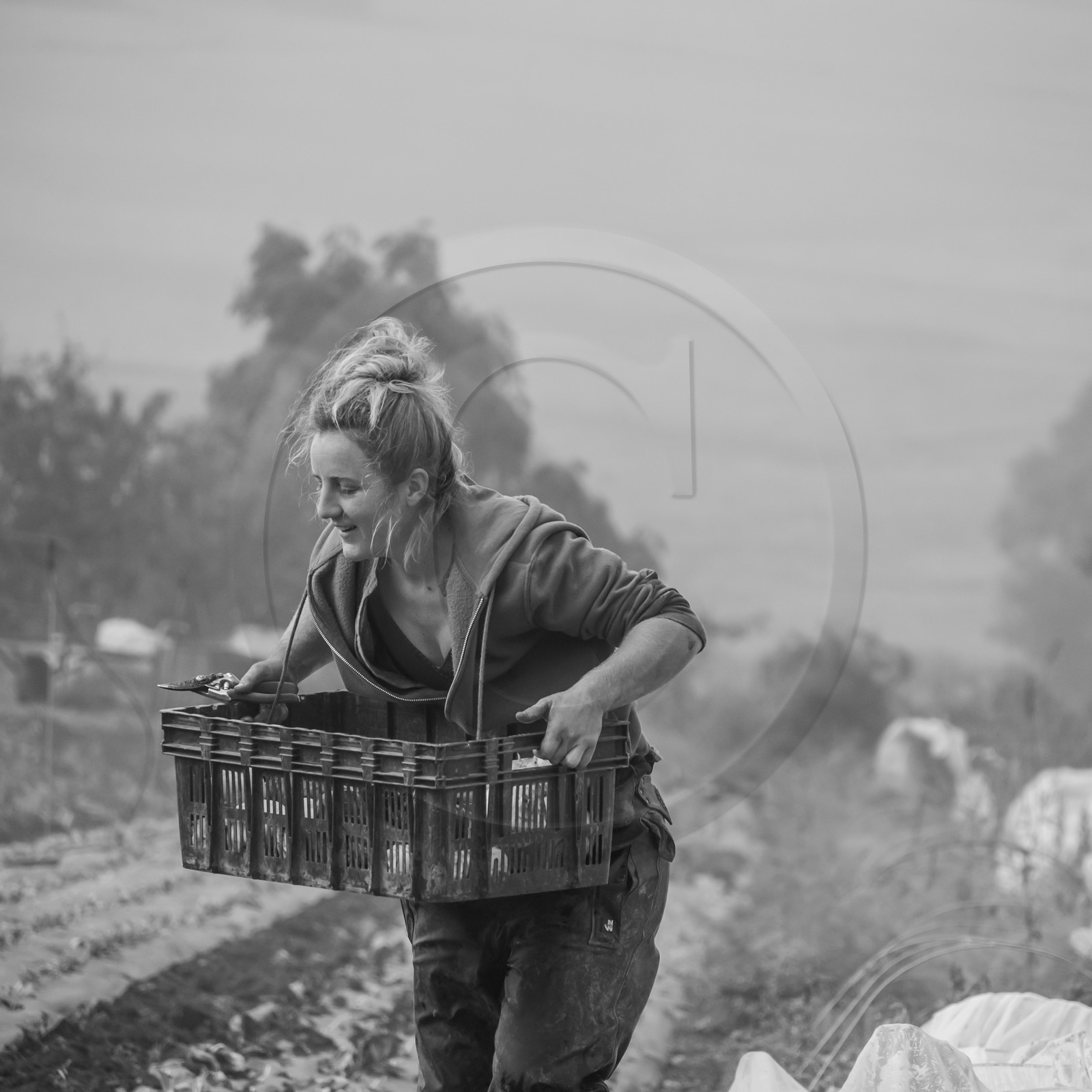 Maraichage biologique dans le Champsaur