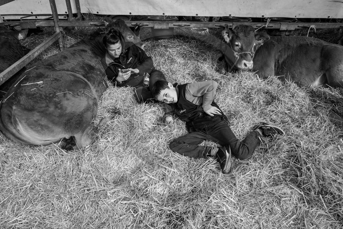 Rencontres paysannes à Saint-Bonnet en Champsaur