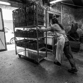 Maraichage biologique dans le Champsaur