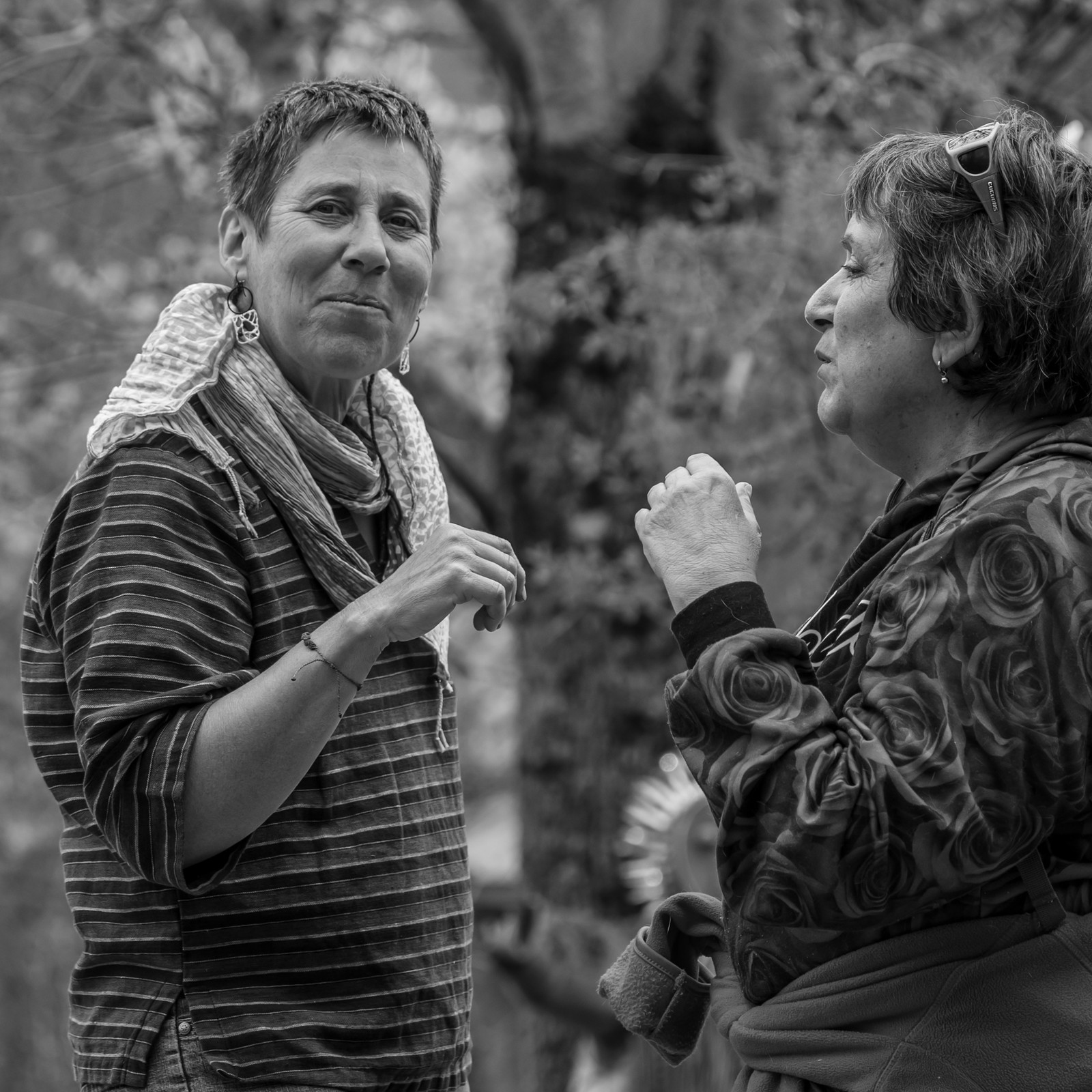 23 avril 2025 : Des oiseaux et des plantes