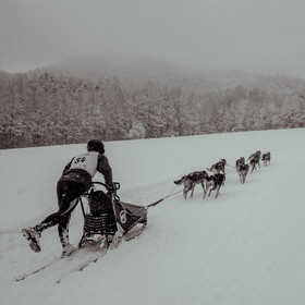 La Valgaude Traineau 2015