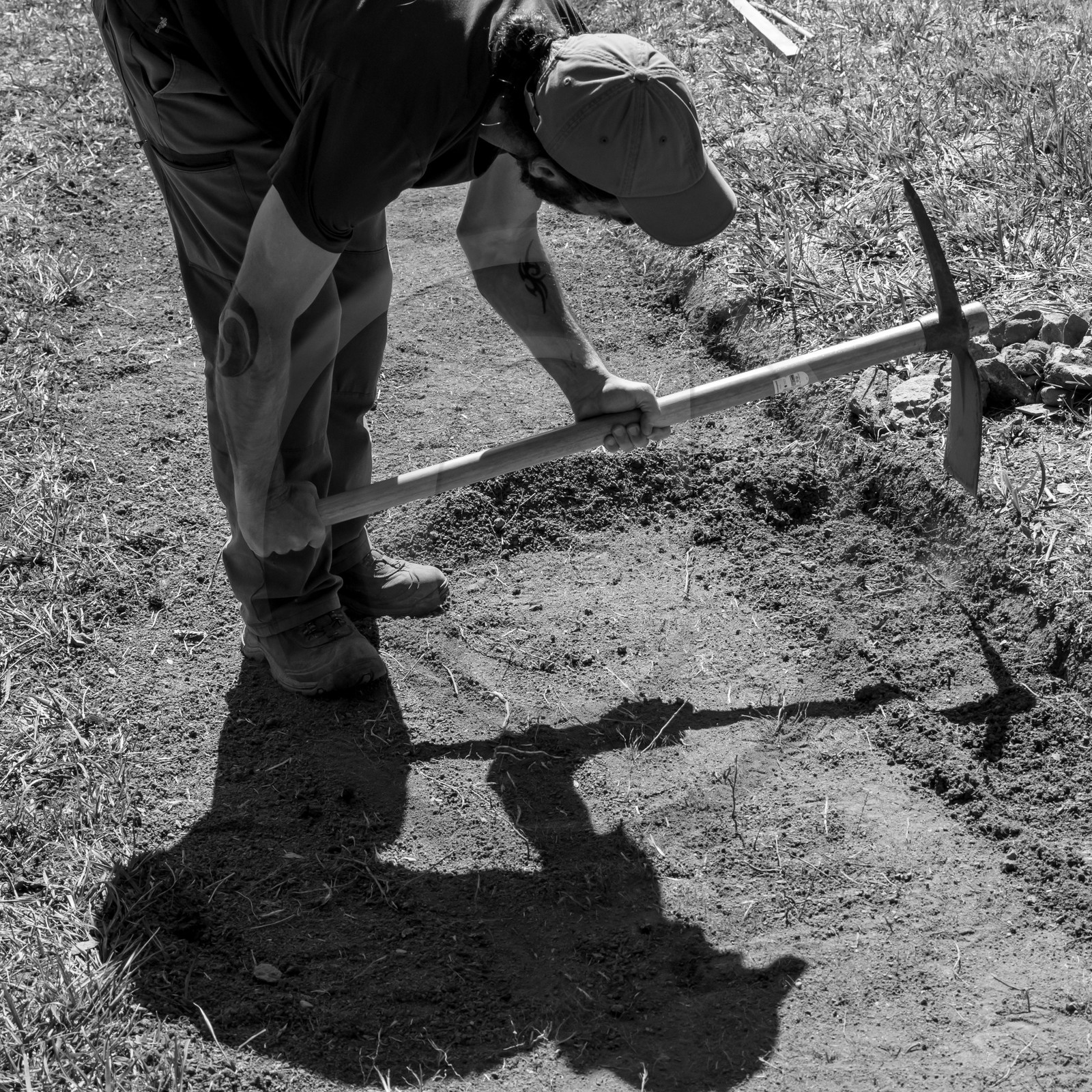 20 septembre 2017 - Jardinage