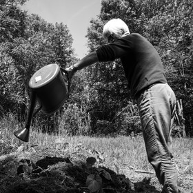 07 juin 2017 - Plantation - Haie - Réunion