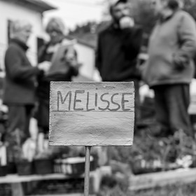 25 mai 2019 : Vide-Jardin de l'Ouort de Benevènt