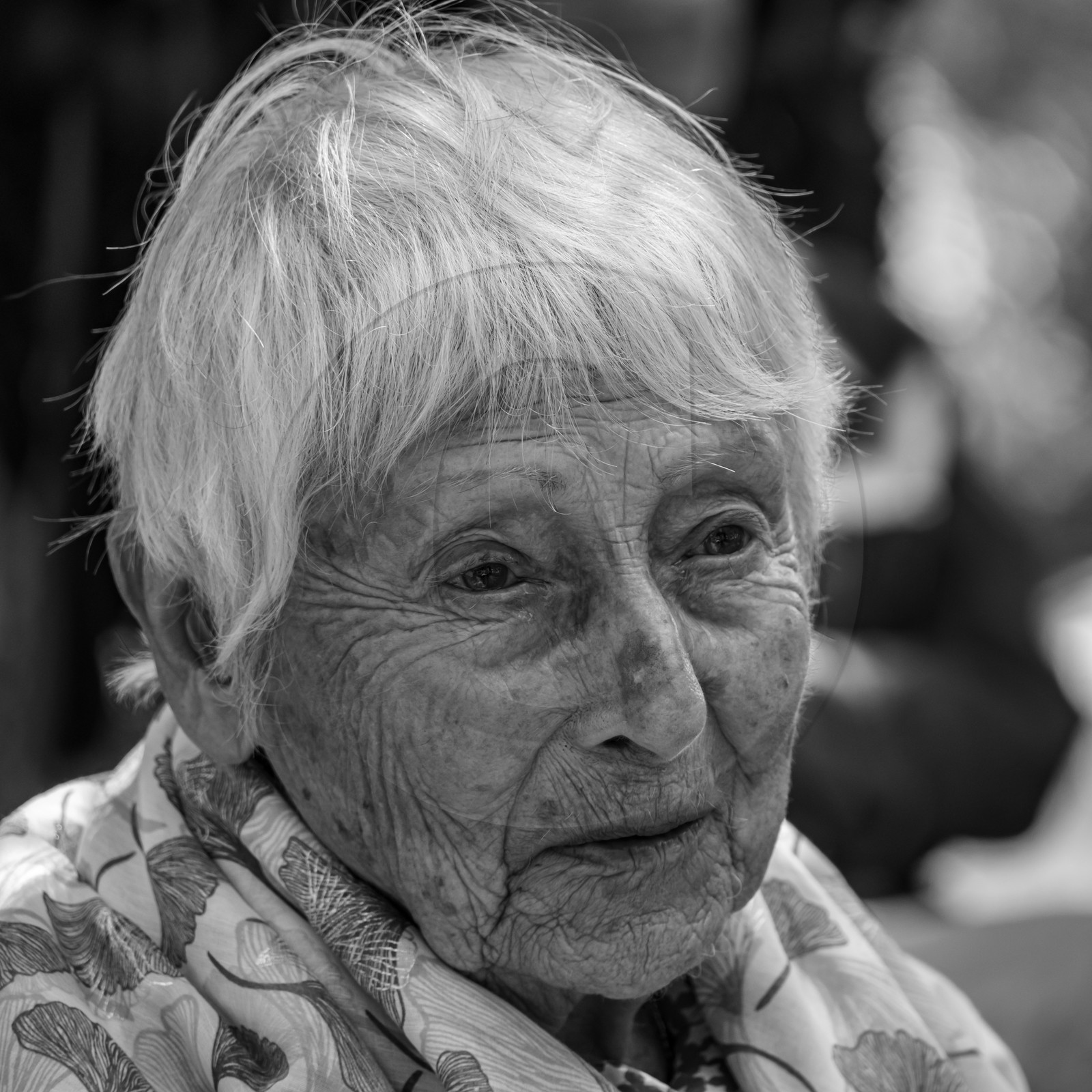 21 aout 2024 : Réalisation de Marcel Joli Coeur, l'homme de l'Ouort avec Barbara Fougnon, artiste plasticienne, et un anniversaire en chansons.