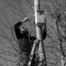 06 février 2019 : la pose des nichoirs