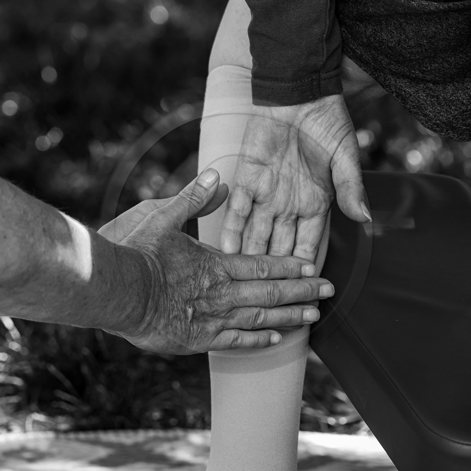 26 juin 2023 : journée des aidants et des aidés 26 juin 2023 : journée des aidants et des aidés