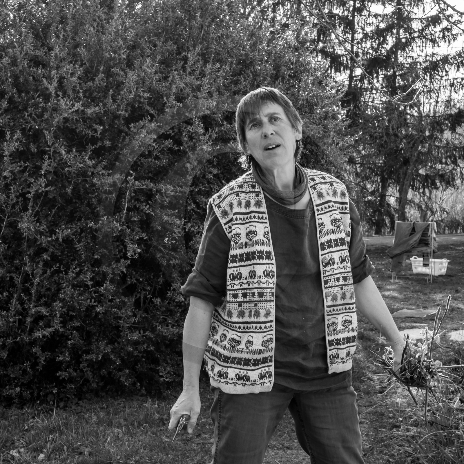 24 février 2021 : on taille, on prépare le jardin...