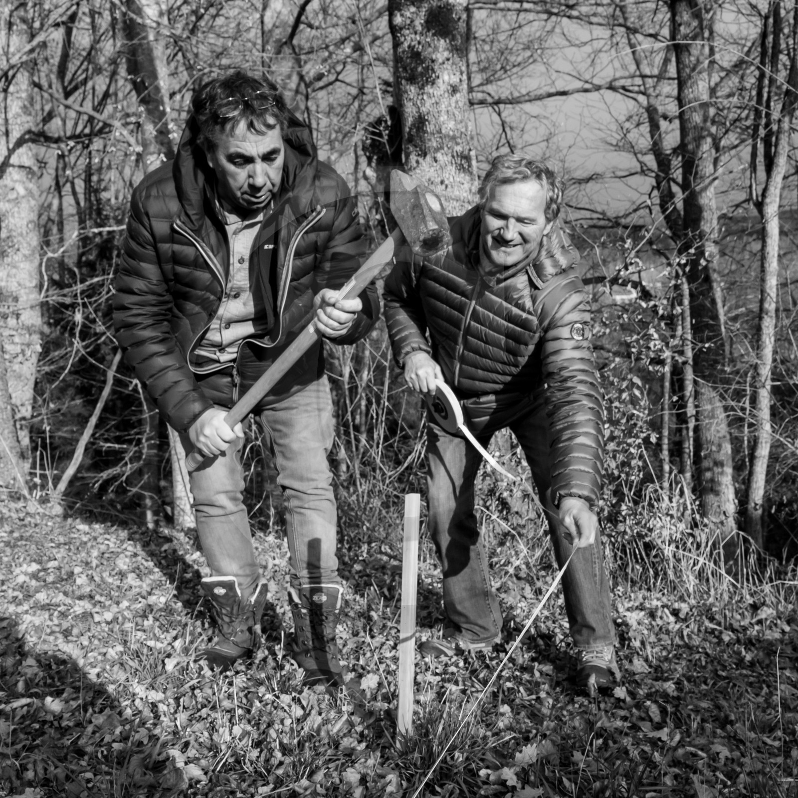 dlebioda-03012017-L1176353.jpg dlebioda-03012017-L1176353.jpg