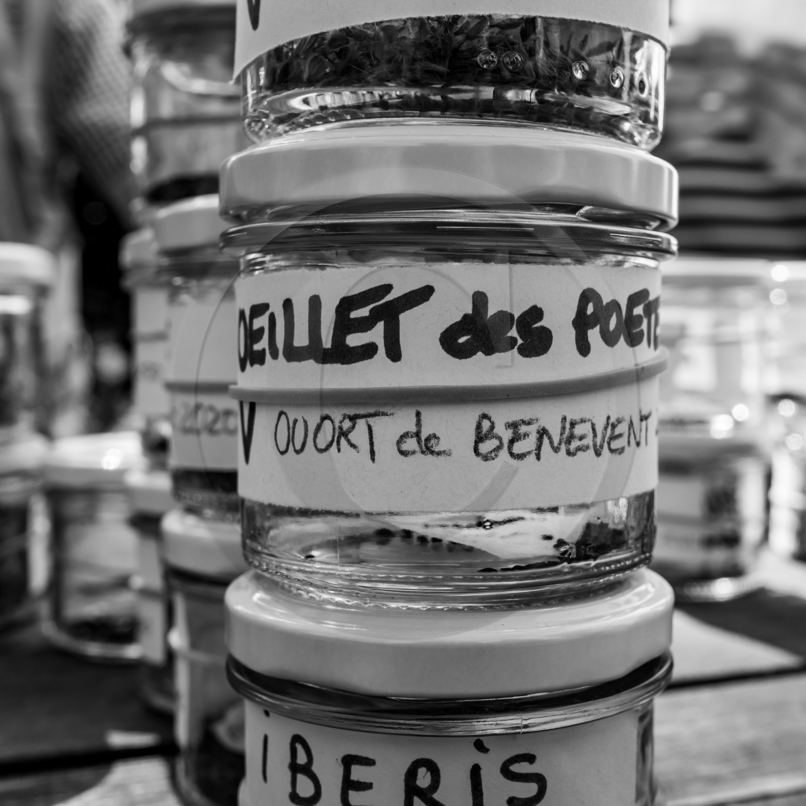 16 août 2021 : Journée des aidants