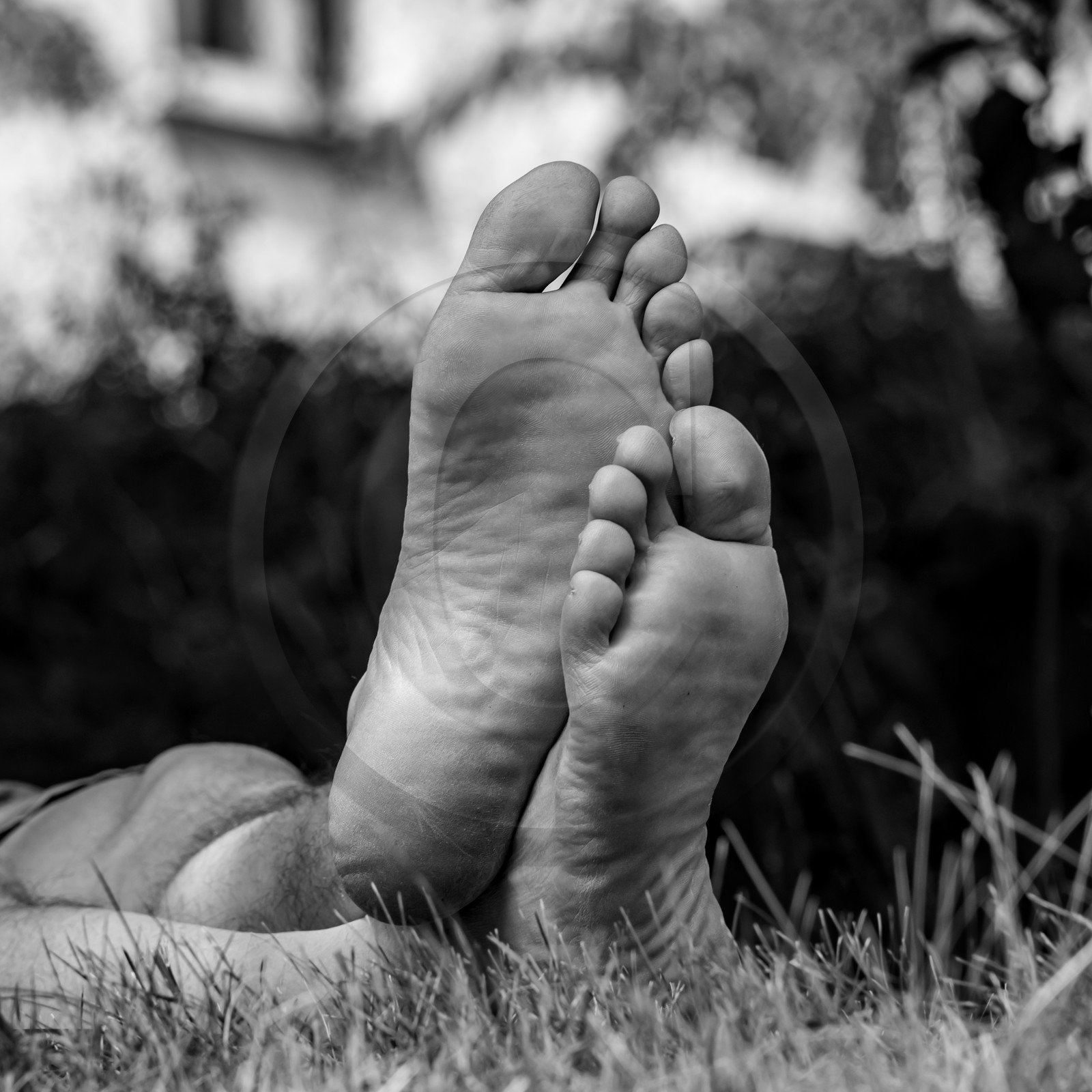 21 juillet 2021 : Sieste musicale avec Matthieu Duval 21 juillet 2021 : Sieste musicale avec Matthieu Duval