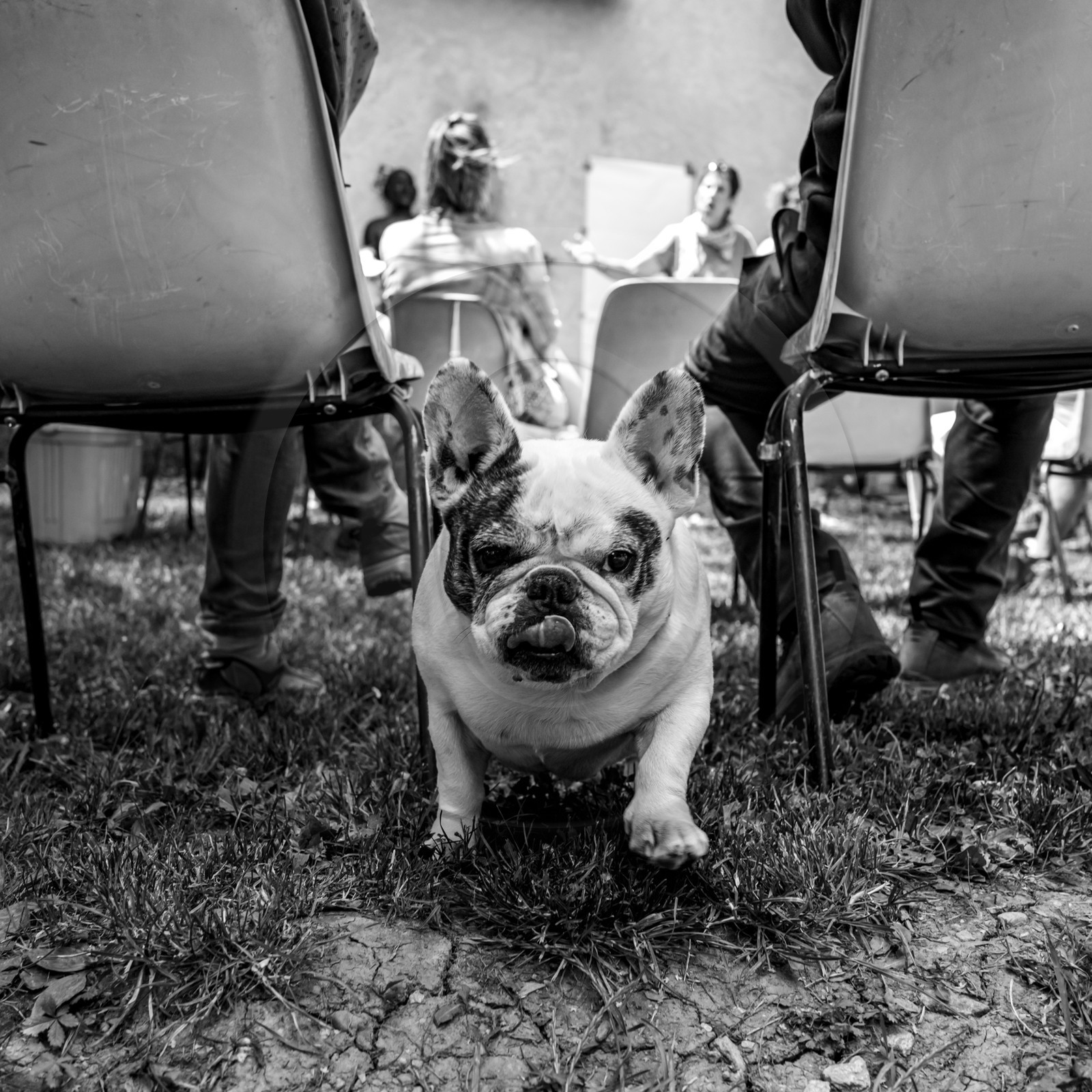 03 juillet 2024 : Création participative de L'homme de l'Ouort avec Barbara Fougnon, artiste plasticienne