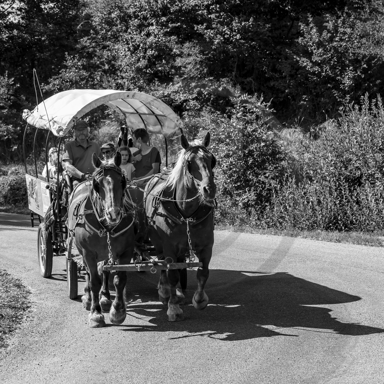 01 septembre 2021 : Promenade en cariole et contes