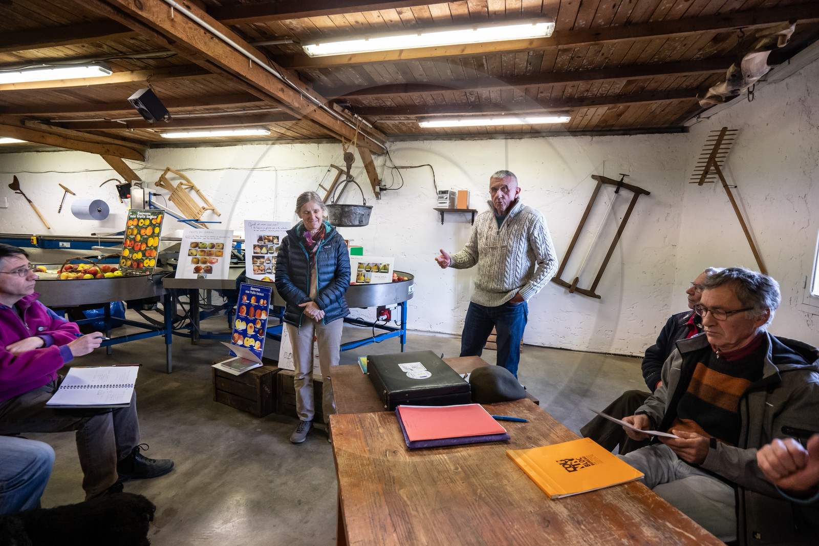 Croqueurs de pommes des Alpes Latines