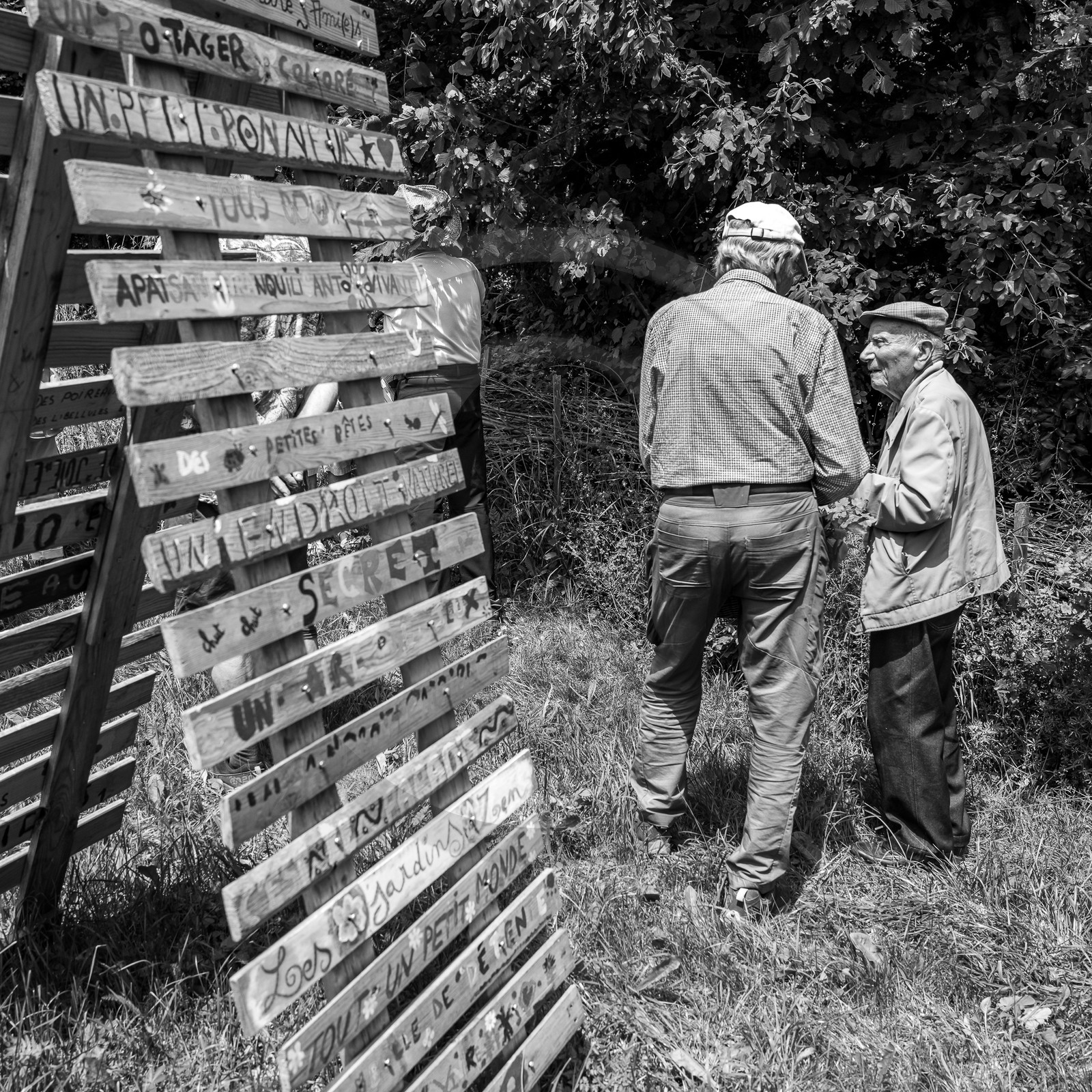 21 juin 2023 : Découverte botanique 21 juin 2023 : Découverte botanique