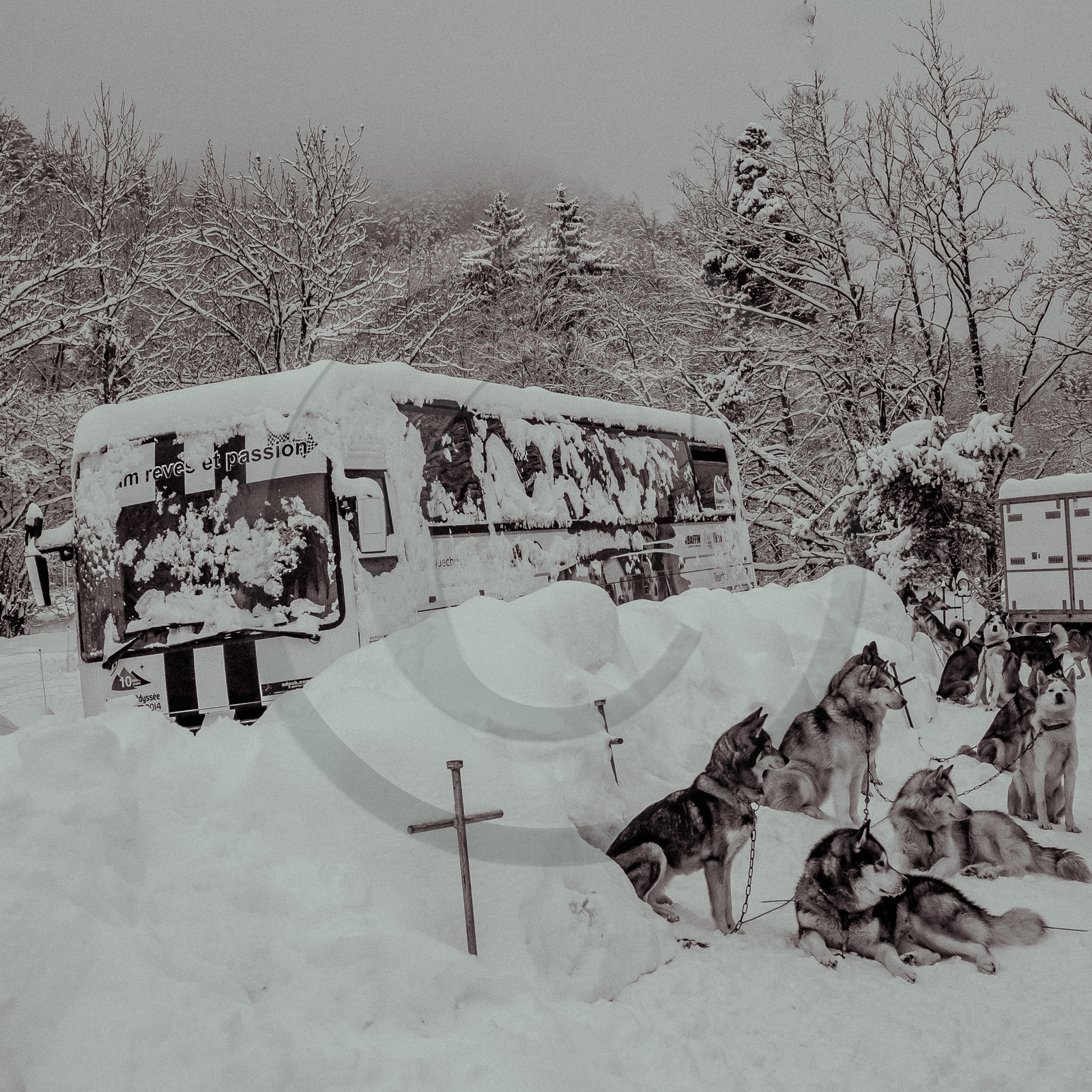 La Valgaude Traineau 2015