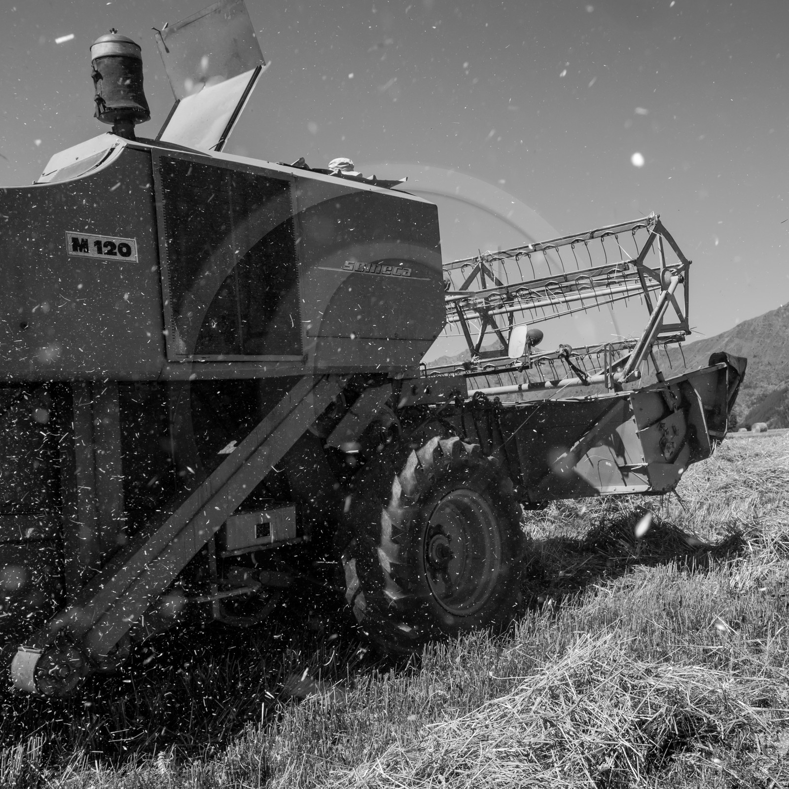 Les moissons dans le Champsaur