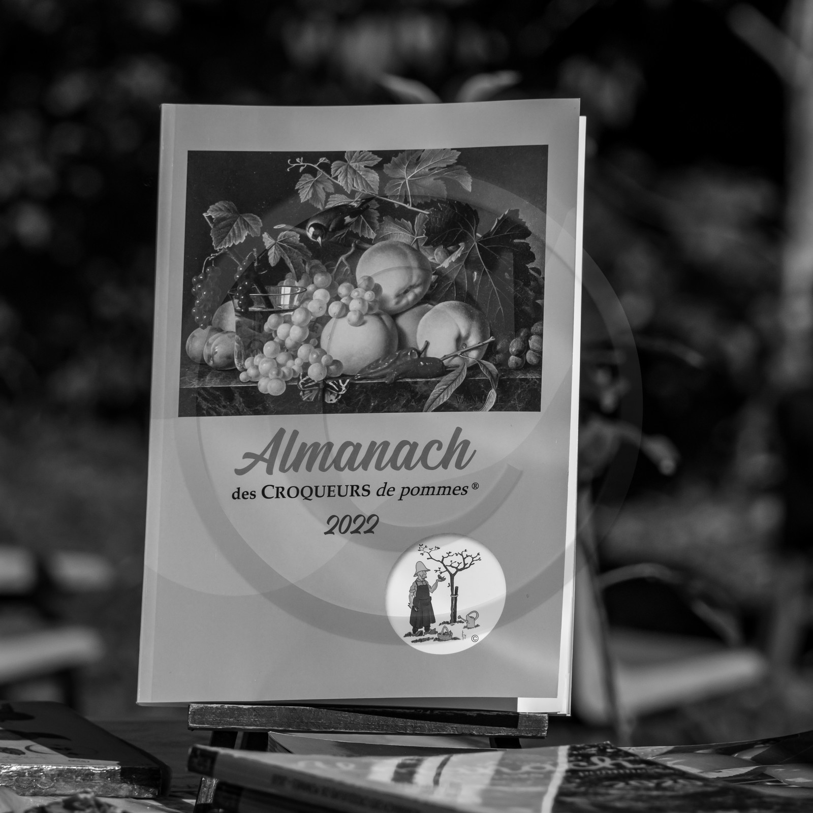 24 octobre 2021 : Fais ta soupe et ramène ta pomme