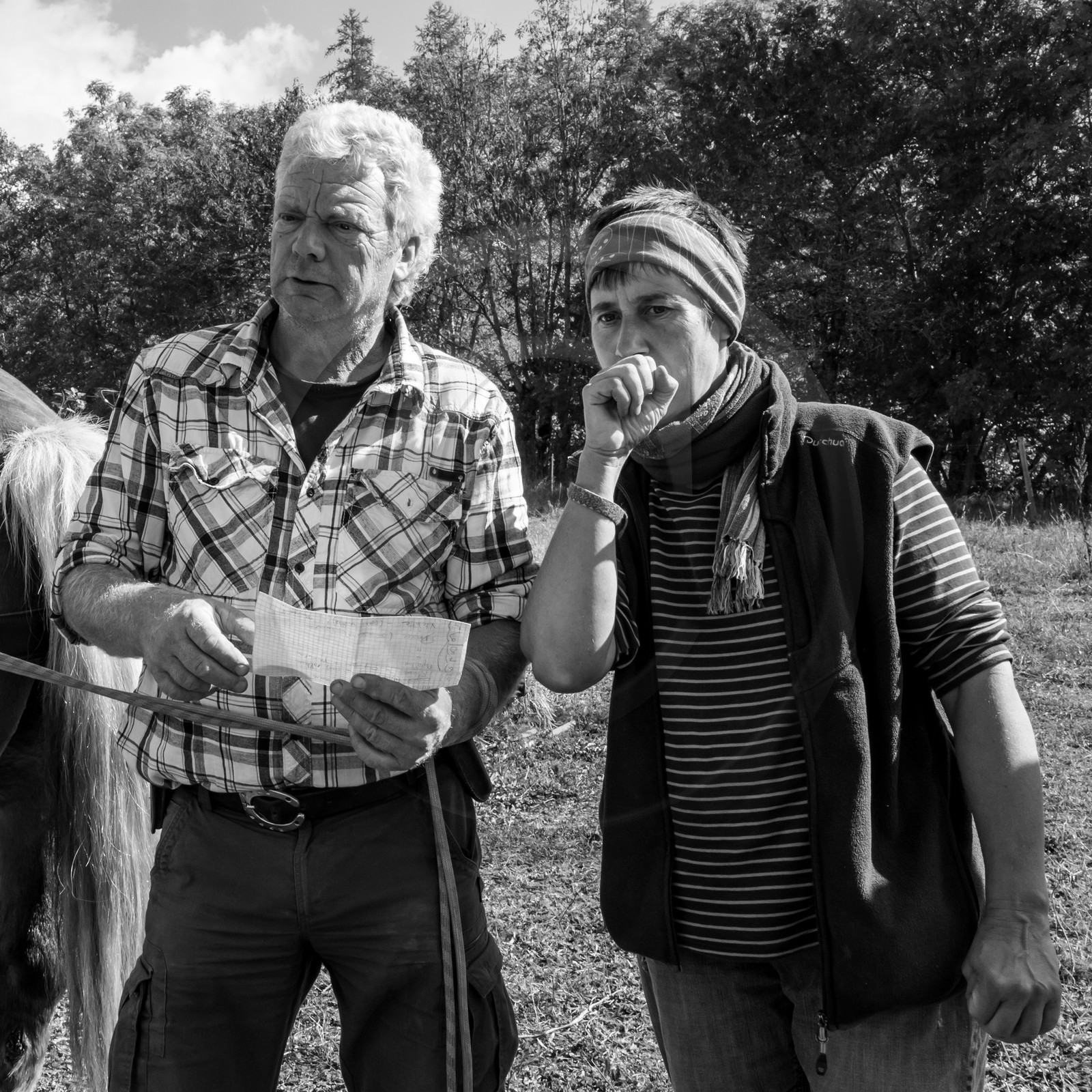 La récolte des pommes de terre avec un cheval