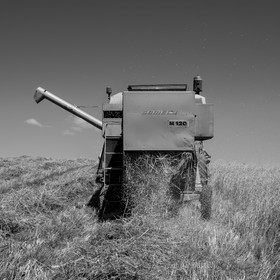 Les moissons dans le Champsaur
