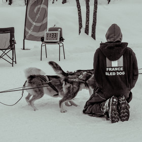 La Valgaude Traineau 2015