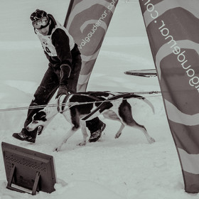 La Valgaude Traineau 2015