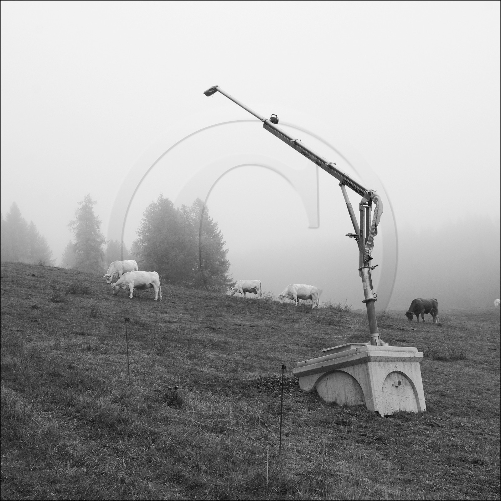 En attendant la neige