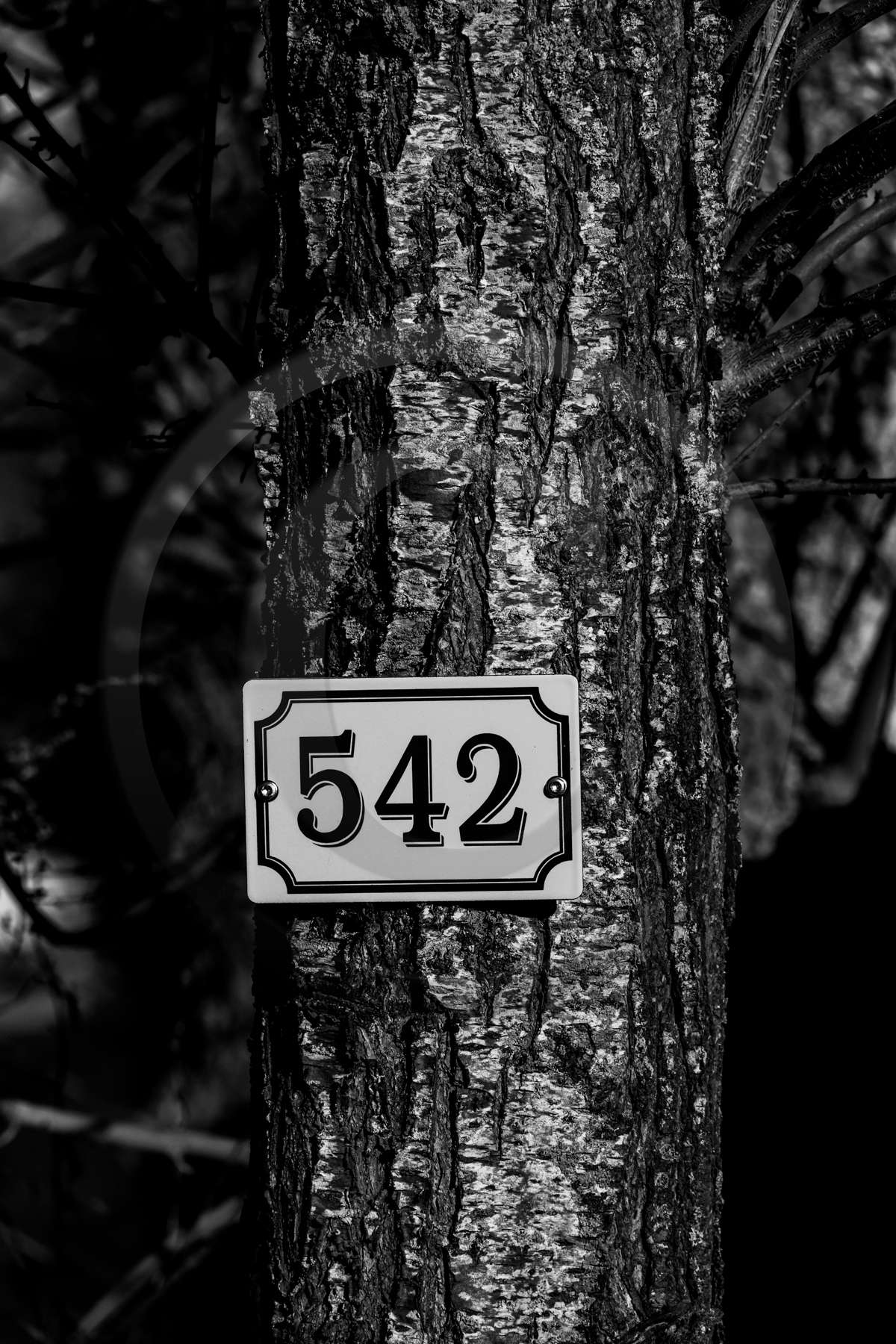 Des chiffres et des lettres