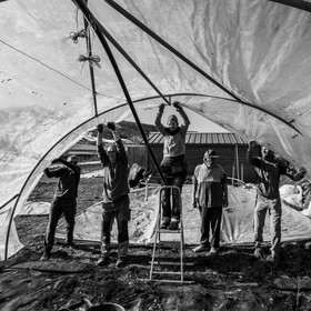 Montage de serres tunnel