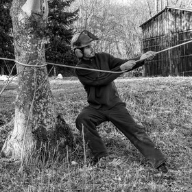 Elagage - 08 03 2017