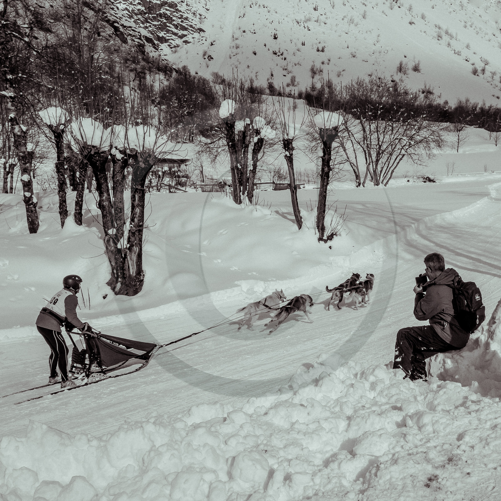 La Valgaude Traineau 2015