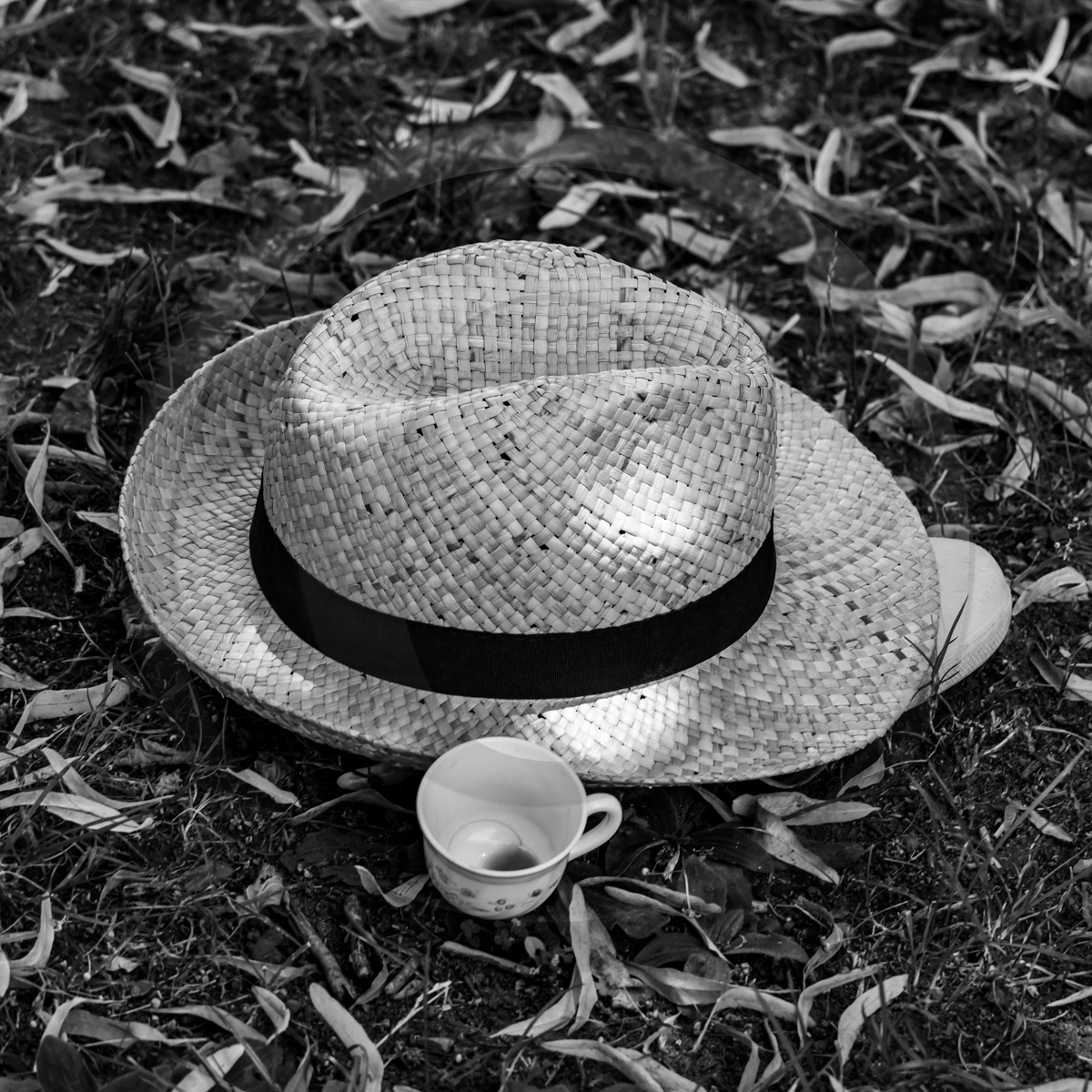 06 juillet 2022 : Sieste Musicale