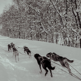 La Valgaude Traineau 2015