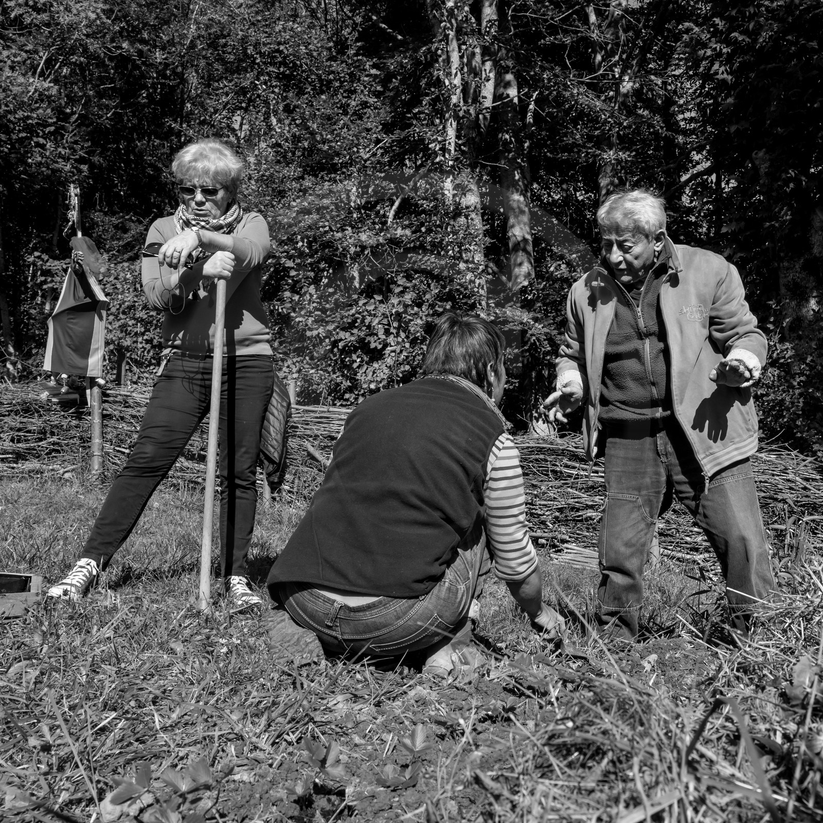 20 septembre 2017 - Jardinage