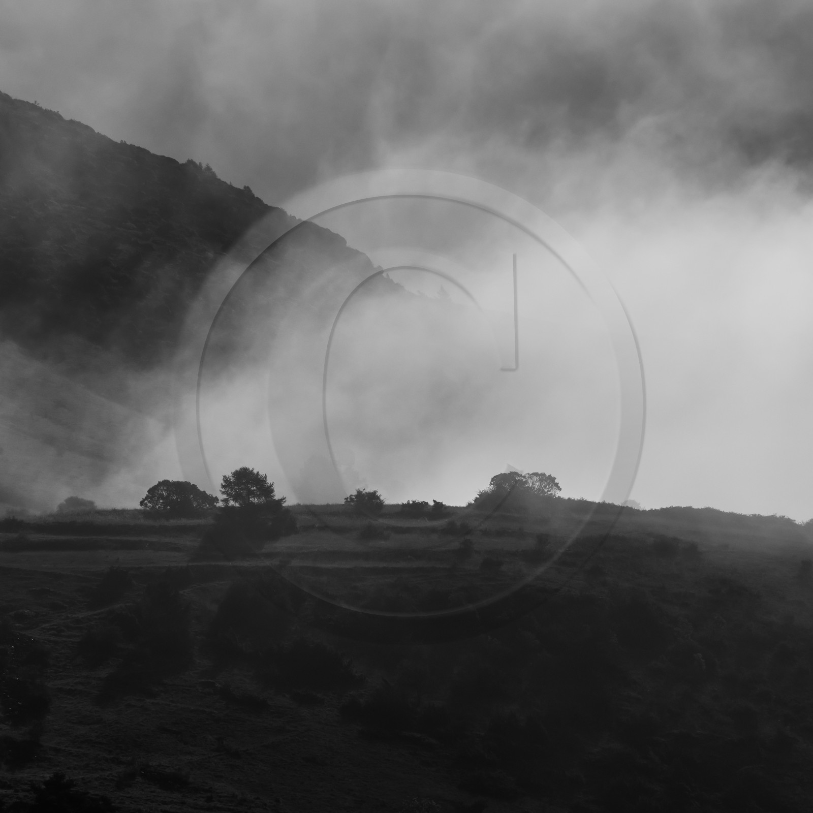 Maraichage biologique dans le Champsaur